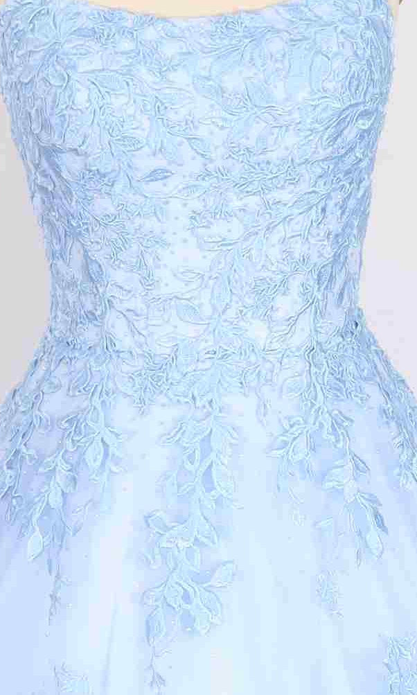 A close-up of the PromGirl Exclusive 250228 long prom dress in light blue, featuring intricate floral lace embroidery on the bodice and upper skirt with an elegant adjustable lace-up back.